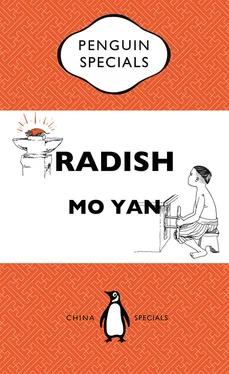 Mo Yan Radish обложка книги