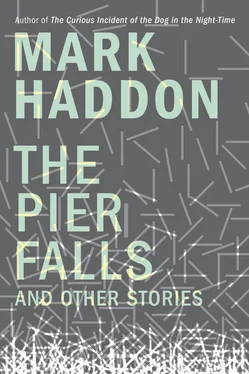 Mark Haddon The Pier Falls: And Other Stories обложка книги