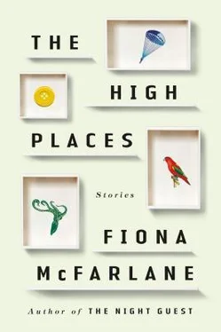 Fiona McFarlane The High Places: Stories обложка книги