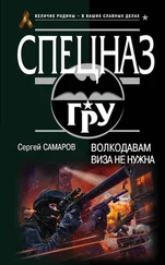 Сергей Самаров - Волкодавам виза не нужна