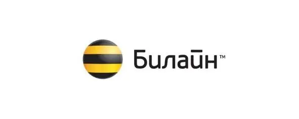 Рис 15 Крупнейшие операторы российского рынка Билайн Рис 16 Крупнейшие - фото 16