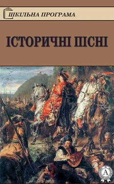 Народное творчесто Історичні пісні обложка книги