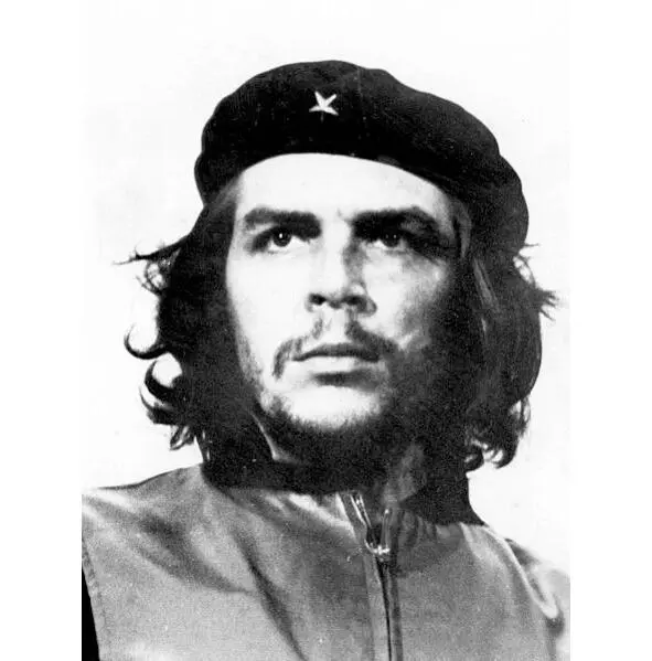 Рис 30 Alberto Korda Guerrillero Heroico Che Guevara Рис 31 Alberto - фото 37