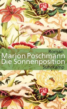 Marion Poschmann Die Sonnenposition обложка книги