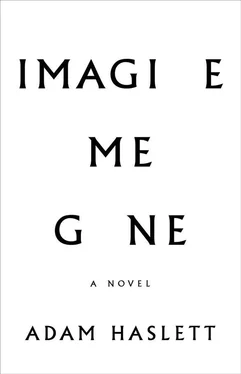 Adam Haslett Imagine Me Gone обложка книги