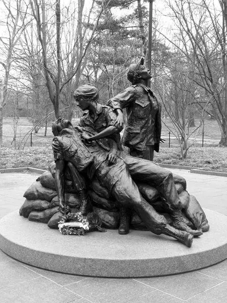 The recasting of this war as a heroic and patriotic endeavor is thus - фото 7