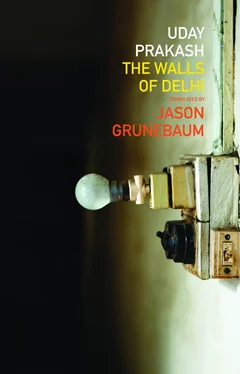 Uday Prakash The Walls of Delhi обложка книги