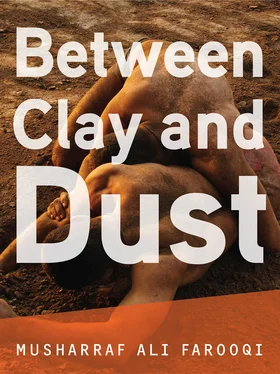 Musharraf Farooqi Between Clay and Dust обложка книги