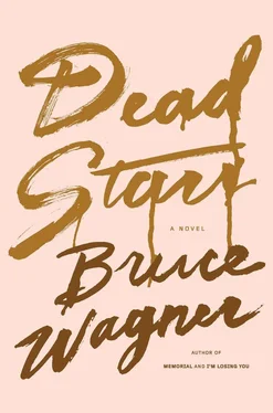 Bruce Wagner Dead Stars обложка книги