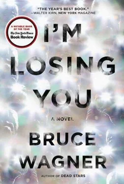 Bruce Wagner I’m Losing You обложка книги