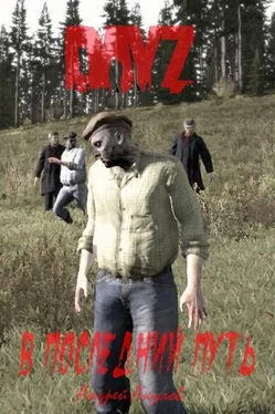 Андрей Акулов DayZ: В последний путь (СИ) обложка книги