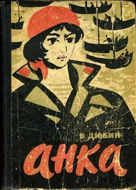 Василий Дюбин Анка обложка книги