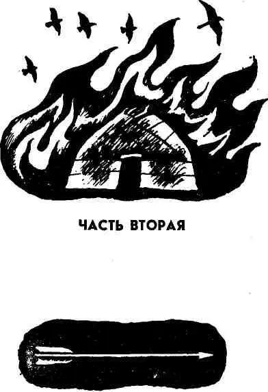 Манай не дождался возвращения сына Не вернулся и Сеит Пятнадцать дней после - фото 8