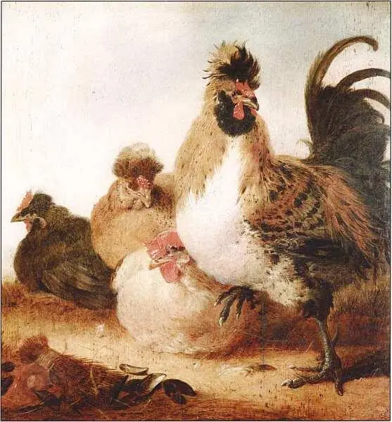 Альберт Якобс Кейп 16201691 Петух и курицы Вторая половина XVII века - фото 41