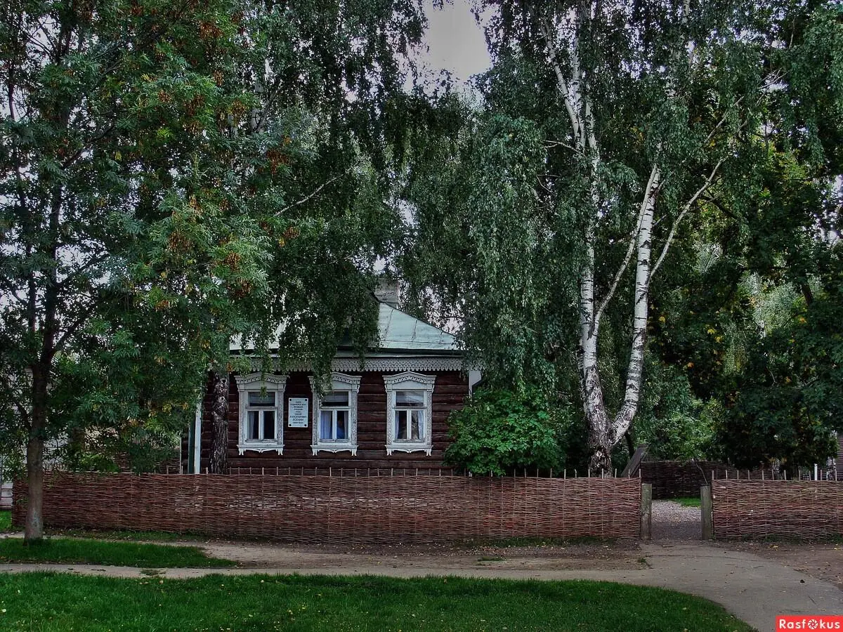Береза символ Родины у СЕсенина Село Константиново Рязанская область Дом - фото 7