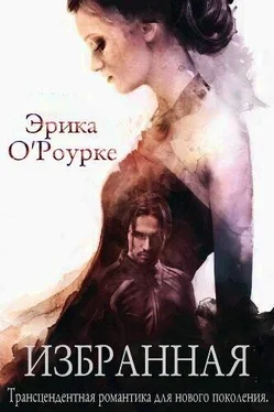 Эрика О'Роурке Избранная обложка книги