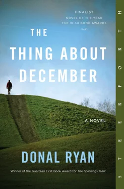 Donal Ryan The Thing About December обложка книги