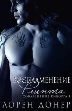 Лорен Донер Воспламенение Флинта (ЛП) обложка книги