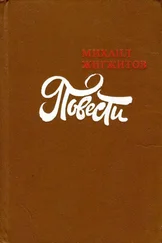 Михаил Жигжитов - Повести