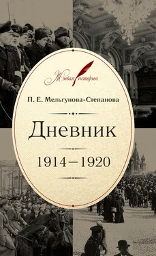 Прасковья Мельгунова-Степанова Дневник. 1914–1920 обложка книги