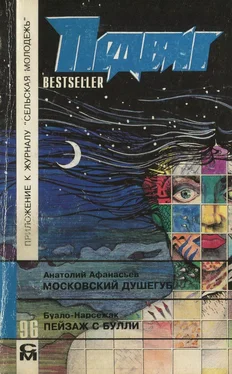 Пьер Буало Пейзаж с Булли обложка книги