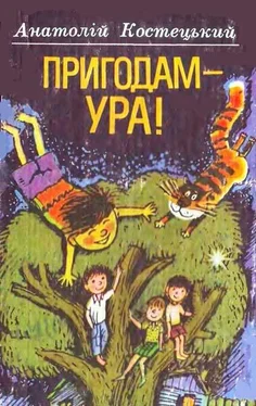 Анатолій Костецький Пригодам — ура! обложка книги