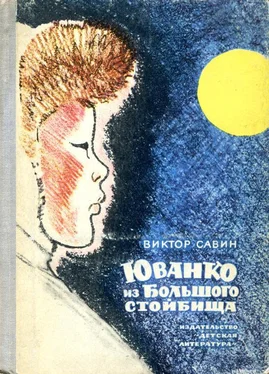 Виктор Савин Юванко из Большого стойбища обложка книги