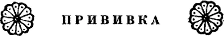 Прежде чем попасть во владения саков среднеазиатских скифов нужно совершить - фото 52