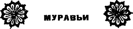 Есть в пустыне такие уголки где и веснуто не сразу углядишь Особенно там - фото 66