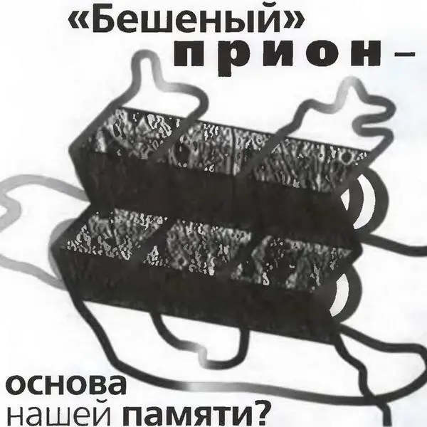 Как мы помним то что помним Это один из центральных вопросов науки о мозге - фото 7