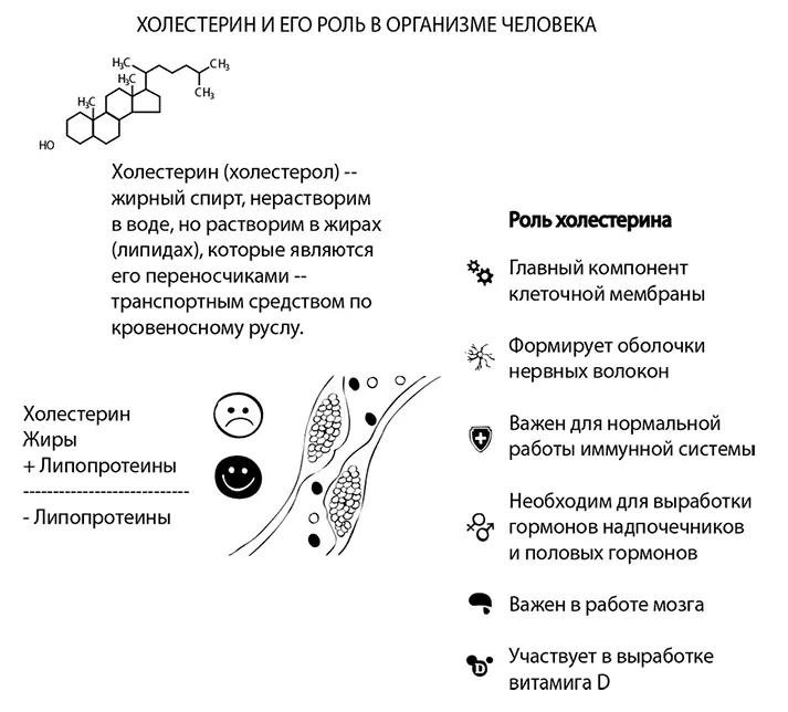 Холестеринхолестерол жирный спирт нерастворим в воде но растворим в жирах - фото 10