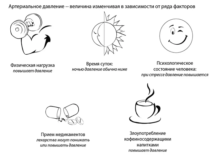 Различают два показателя артериального давления Систолическое верхнее это - фото 40