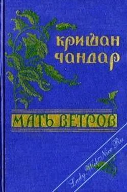 Кришан Чандар Мать ветров обложка книги