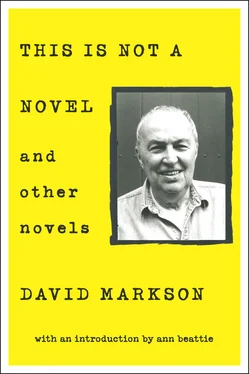 David Markson This is Not a Novel and Other Novels обложка книги