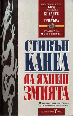 Стивън Канел Да яхнеш Змията обложка книги