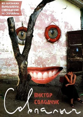 Виктор Солодчук Совпалыч обложка книги