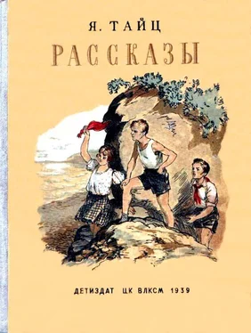 Яков Тайц Рассказы обложка книги