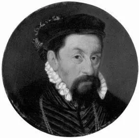 Рис 2 Η Нёфшатель Портрет императора Максимилиана II 1566 г Само собой - фото 14