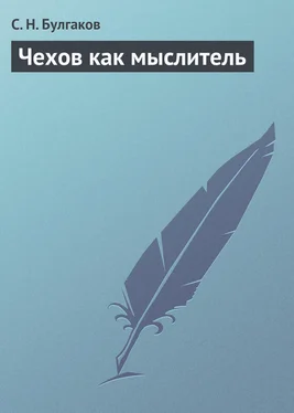 Сергей Булгаков Чехов как мыслитель обложка книги