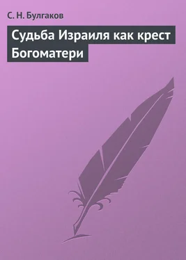 Сергей Булгаков Судьба Израиля как крест Богоматери обложка книги