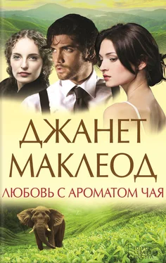 Джанет Маклеод Любовь с ароматом чая обложка книги