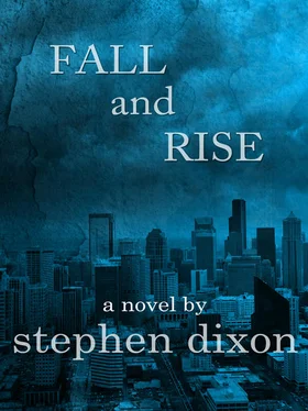 Stephen Dixon Fall and Rise обложка книги