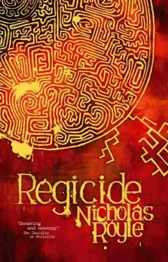 Nicholas Royle Regicide обложка книги