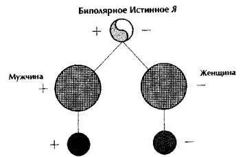 Рис 35 Данная схема иллюстрирует положение двух полярных существ до того как - фото 35
