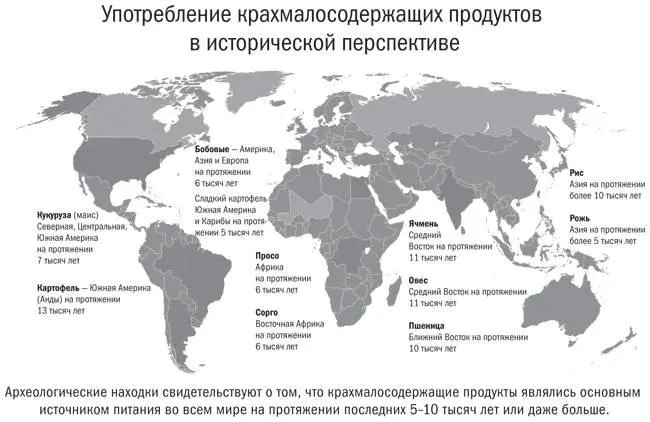 Рис 2 Вопреки широко распространенному мнению что рацион в период - фото 2