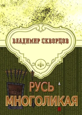 Владимир Скворцов Русь многоликая обложка книги