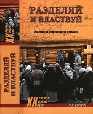 Федор Синицын Разделяй и властвуй. Нацистская оккупационная политика обложка книги