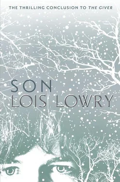 Lois Lowry Son обложка книги