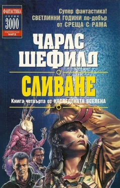 Чарлс Шефилд Сливане обложка книги