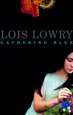 Lois Lowry Gathering Blue обложка книги